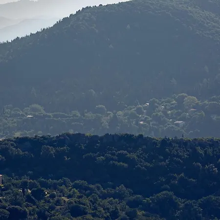 The Elegant Mill * Platístoma