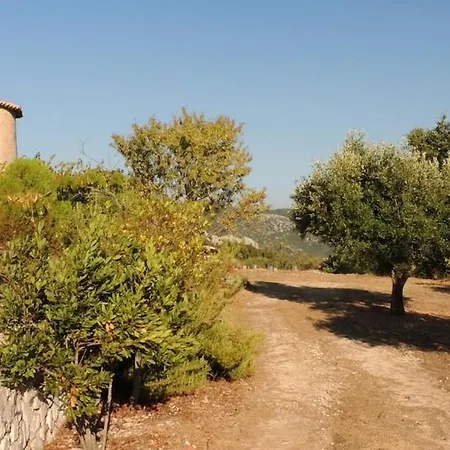 The Elegant Mill Willa