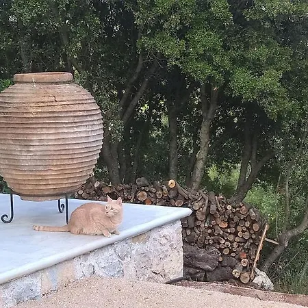 וילה The Elegant Mill *