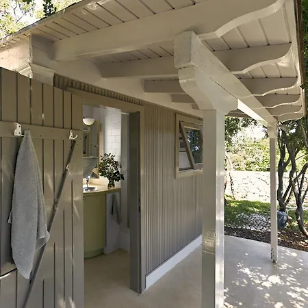 The Elegant Mill * Platístoma