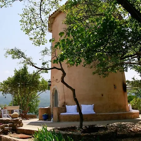 Willa The Elegant Mill