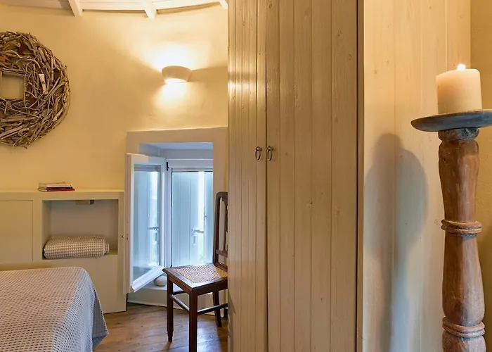 The Elegant Mill * Platistoma