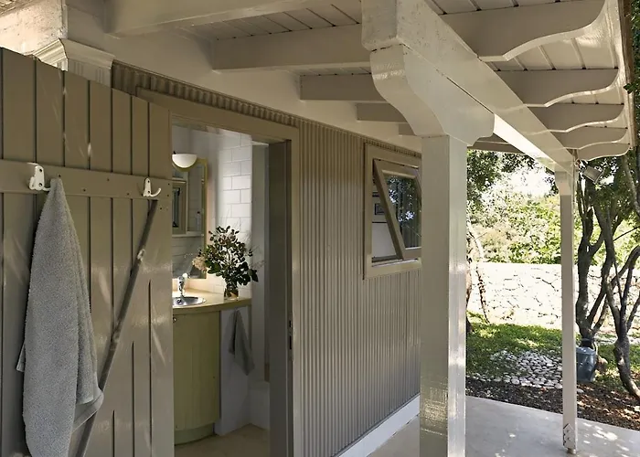 The Elegant Mill * Platistoma